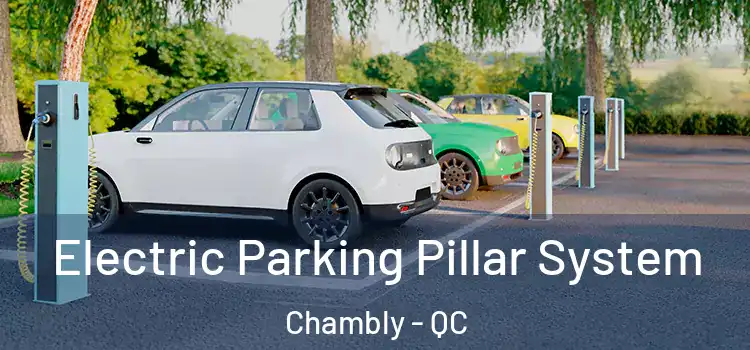  Electric Parking Pillar System Chambly - QC