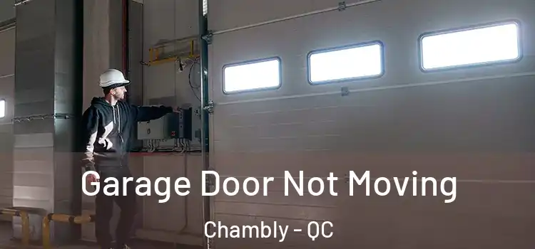 Garage Door Not Moving Chambly - QC