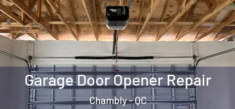  Garage Door Opener Repair Chambly - QC