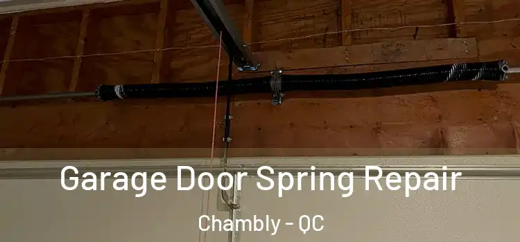  Garage Door Spring Repair Chambly - QC