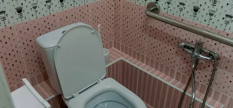 Meeting Diverse Needs With Accessible Restroom Solutions in Chambly, QC