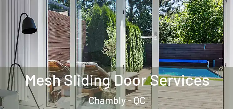 Mesh Sliding Door Services Chambly - QC